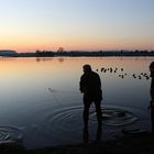 baie de Somme ...les chasseurs de la hutte..