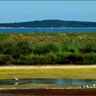 Baie de St-Trojan-Les-Bains 