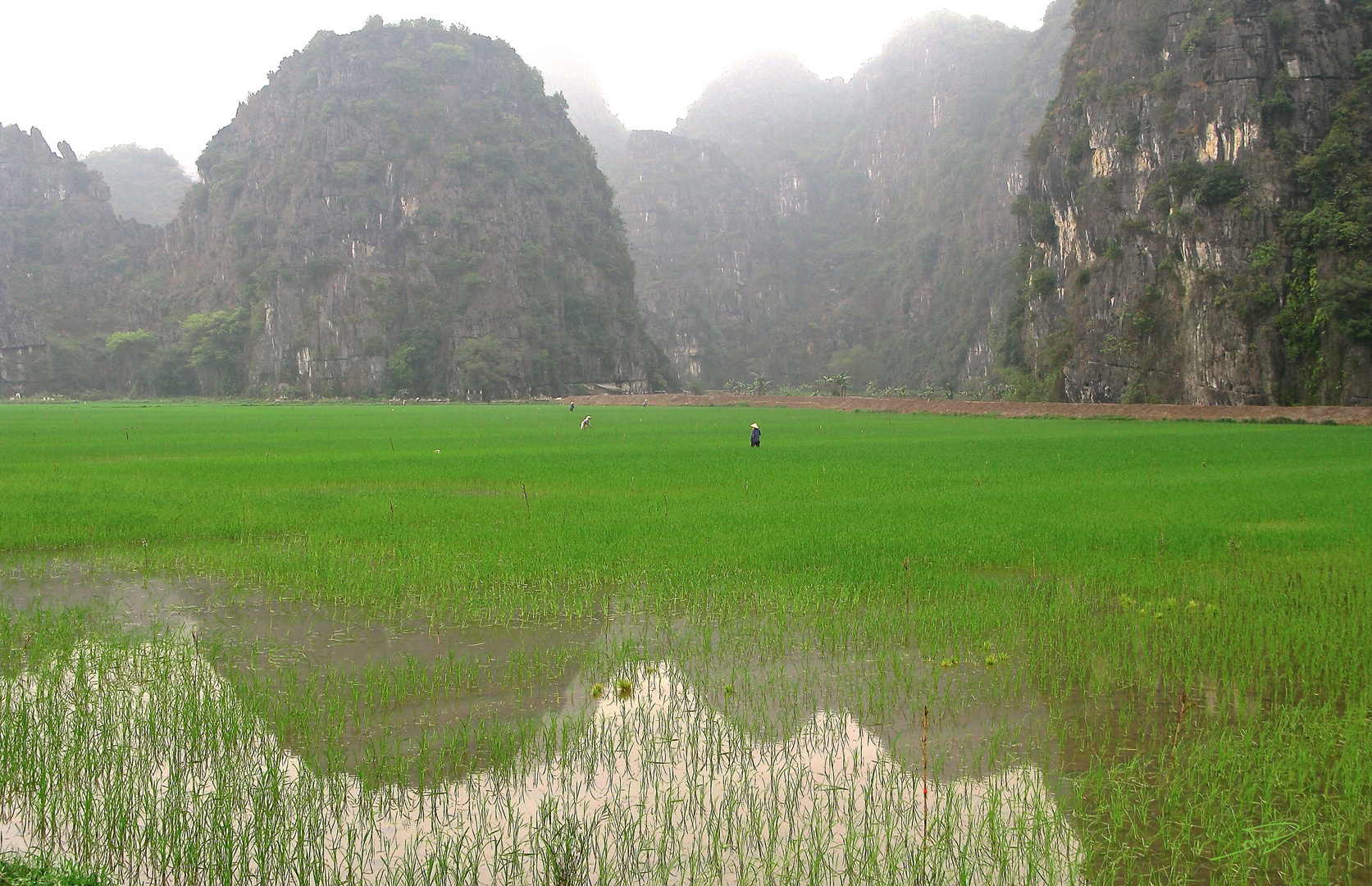 Baie d'Halong Terrestre