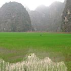 Baie d'Halong Terrestre