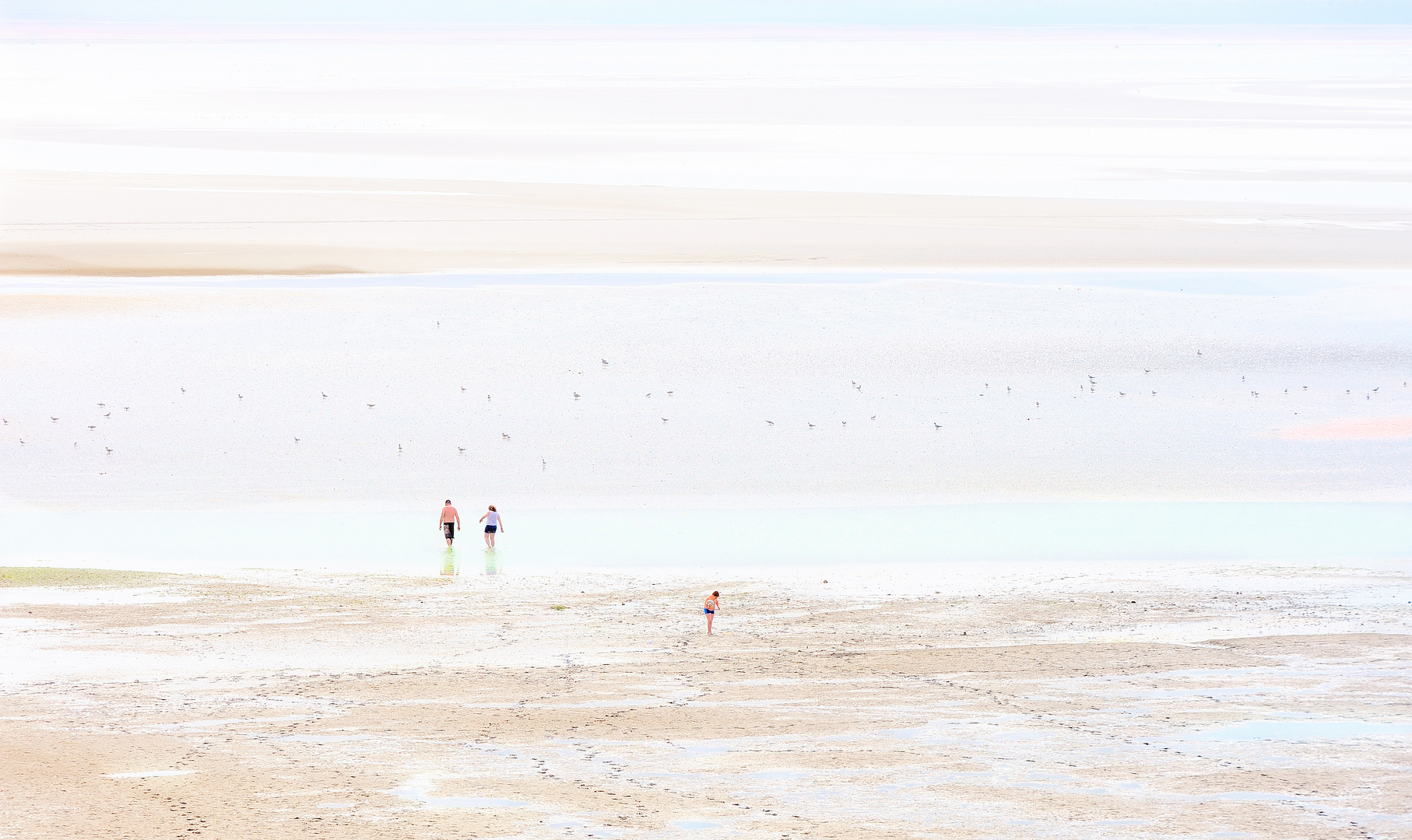 Baie du Crotoy (80) Somme.