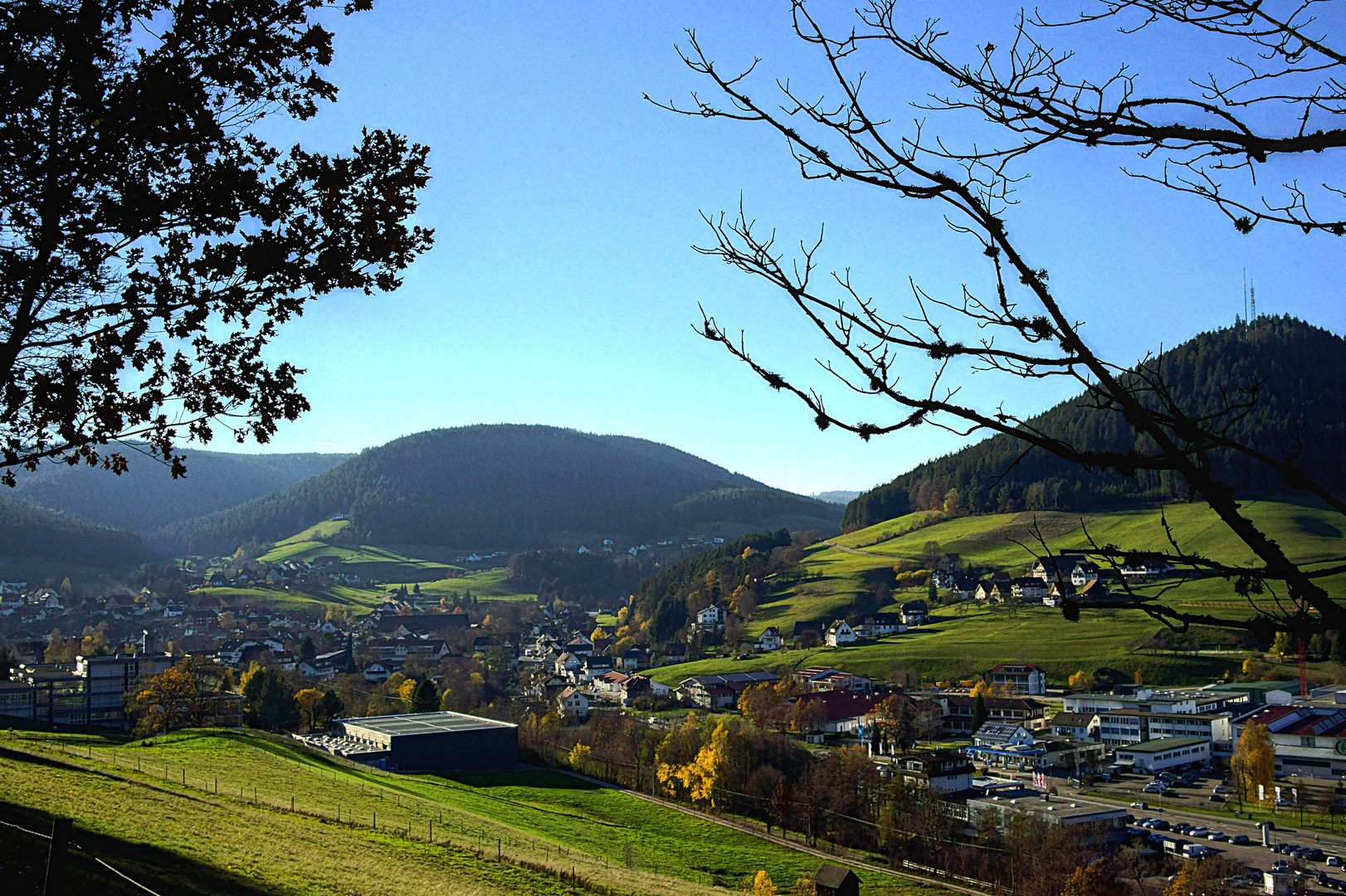 Baiersbronn, Blick ins Tonbachtal