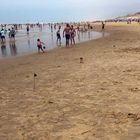 baignade autorisé, plage surveillé entre les drapeaux bleus !!! ;) 