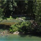 Baignade dans le Gave d’Oloron  --  Sauveterre-de-Béarn