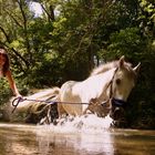 Baignade de La cavalière & Son poney