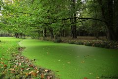 baignade peu recommandée