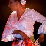 Bailaora de Flamenco