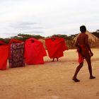 baile wayuu