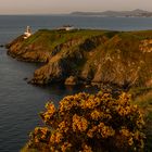 Bailey Lighthouse @ Sunrise