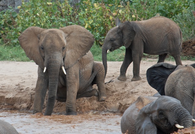 bain à Samburu