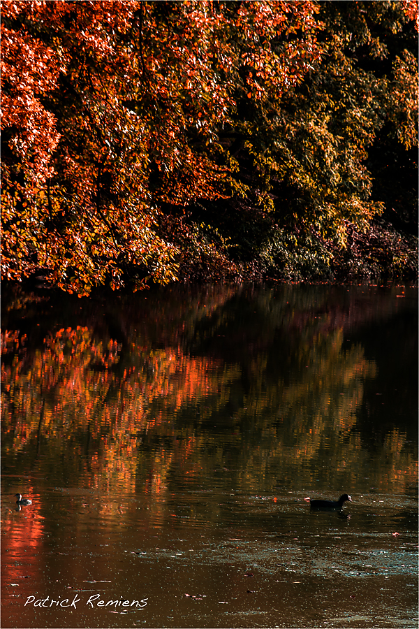 bain de couleur