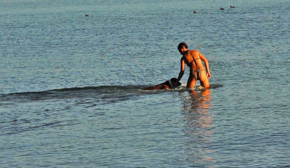 Bain du boxer