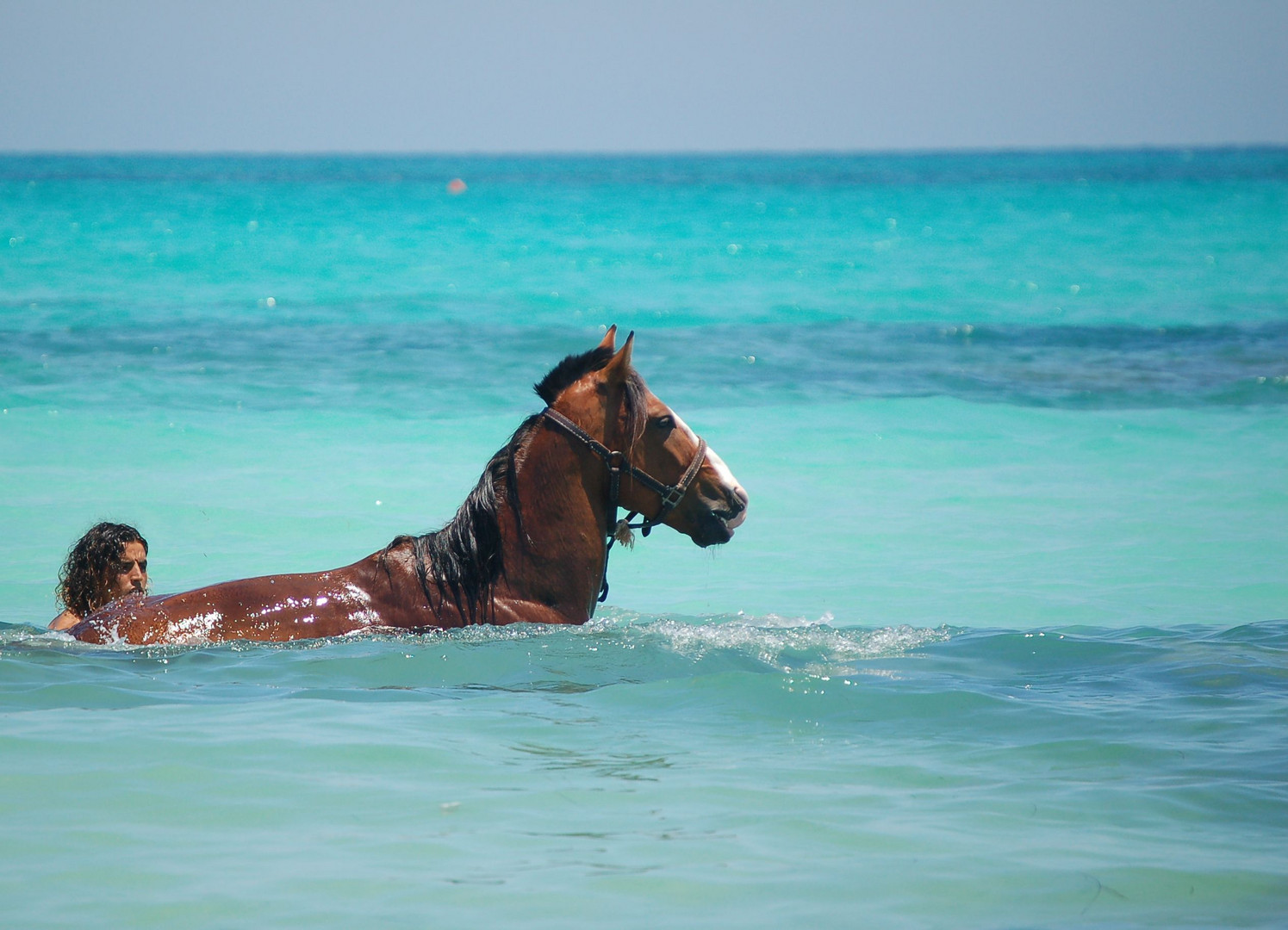 bain du matin Tunisien