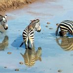 bain miroir