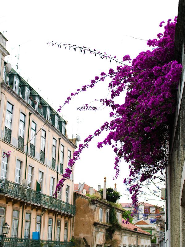 Bairro Alto