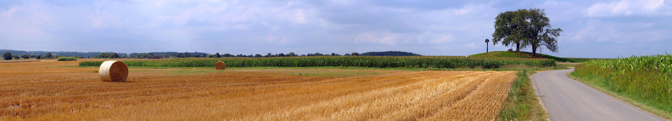 Baisinger Bühl