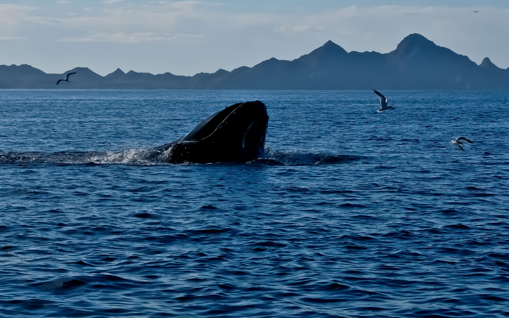 Baja California