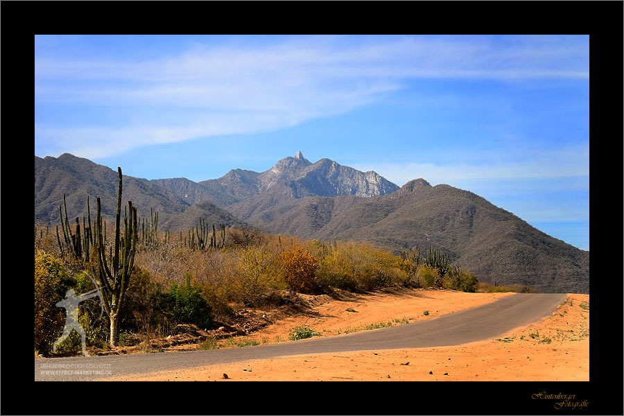 Baja California