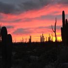 Baja California am Abend