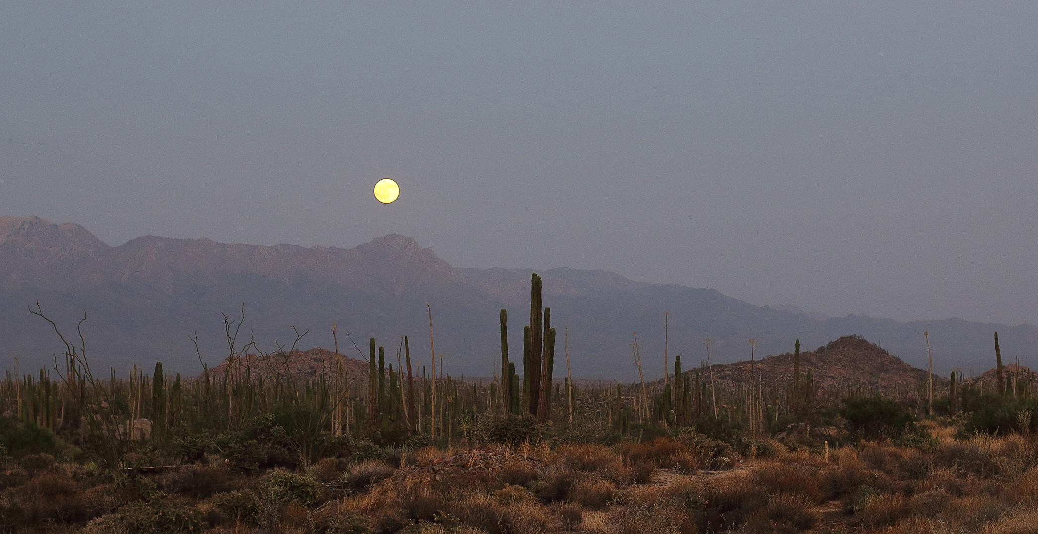 Baja California Desert and Moon