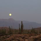 Baja California Desert and Moon