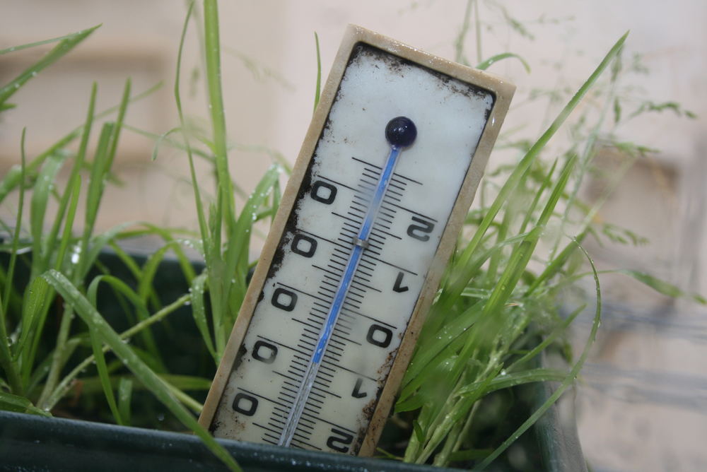 Baja la temperatura....