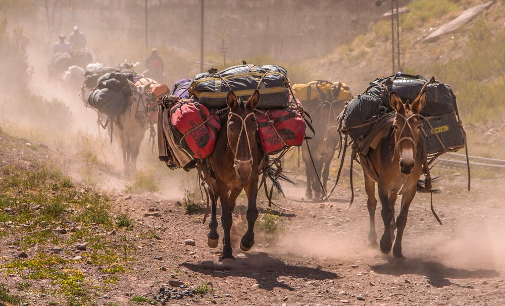 BAJANDO DE LA MONTAÑA. 