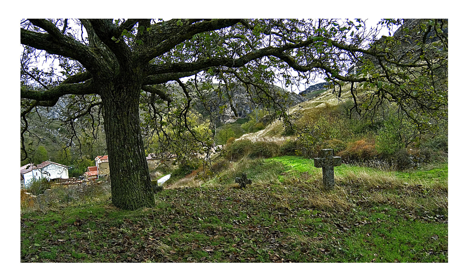 Bajo el arbol