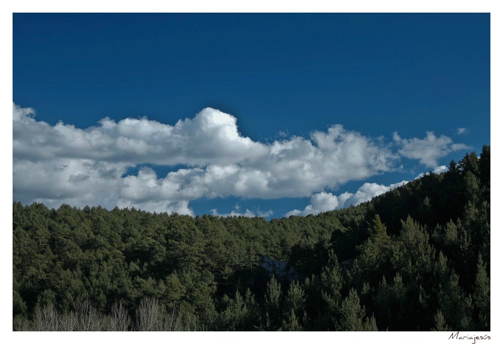 Bajo el cielo azul