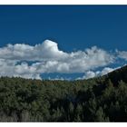 Bajo el cielo azul