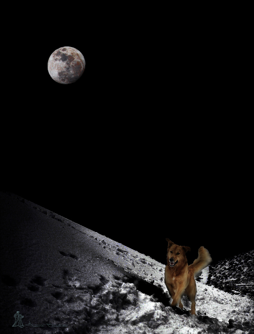 Bajo el influjo de la luna II