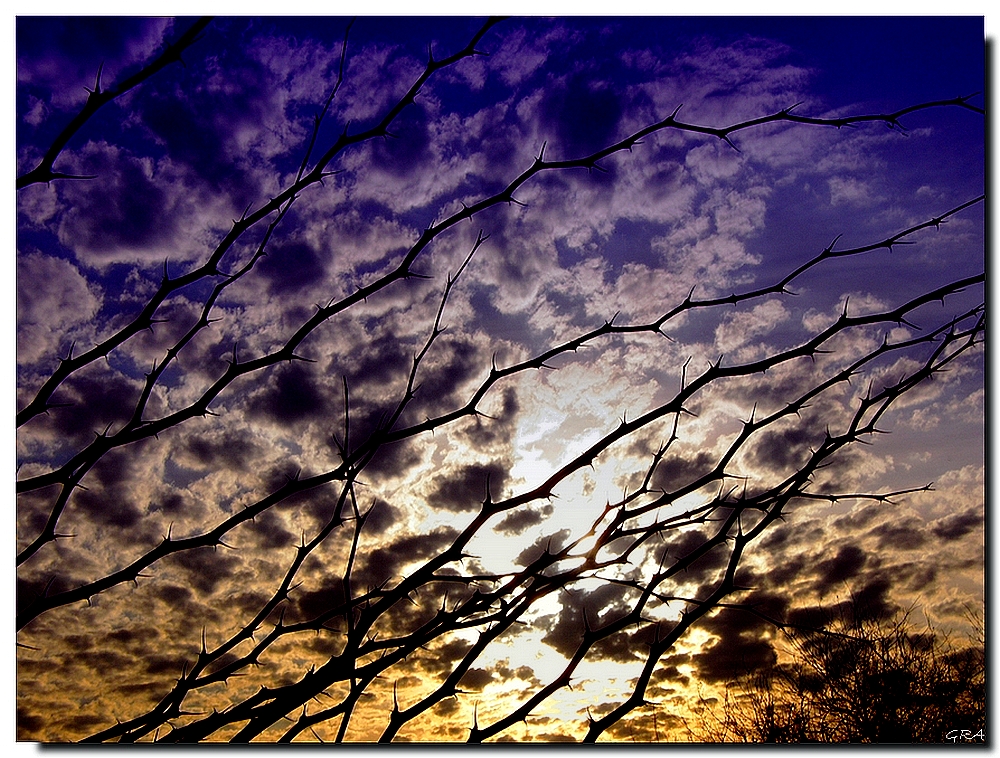 Bajo el mismo cielo..