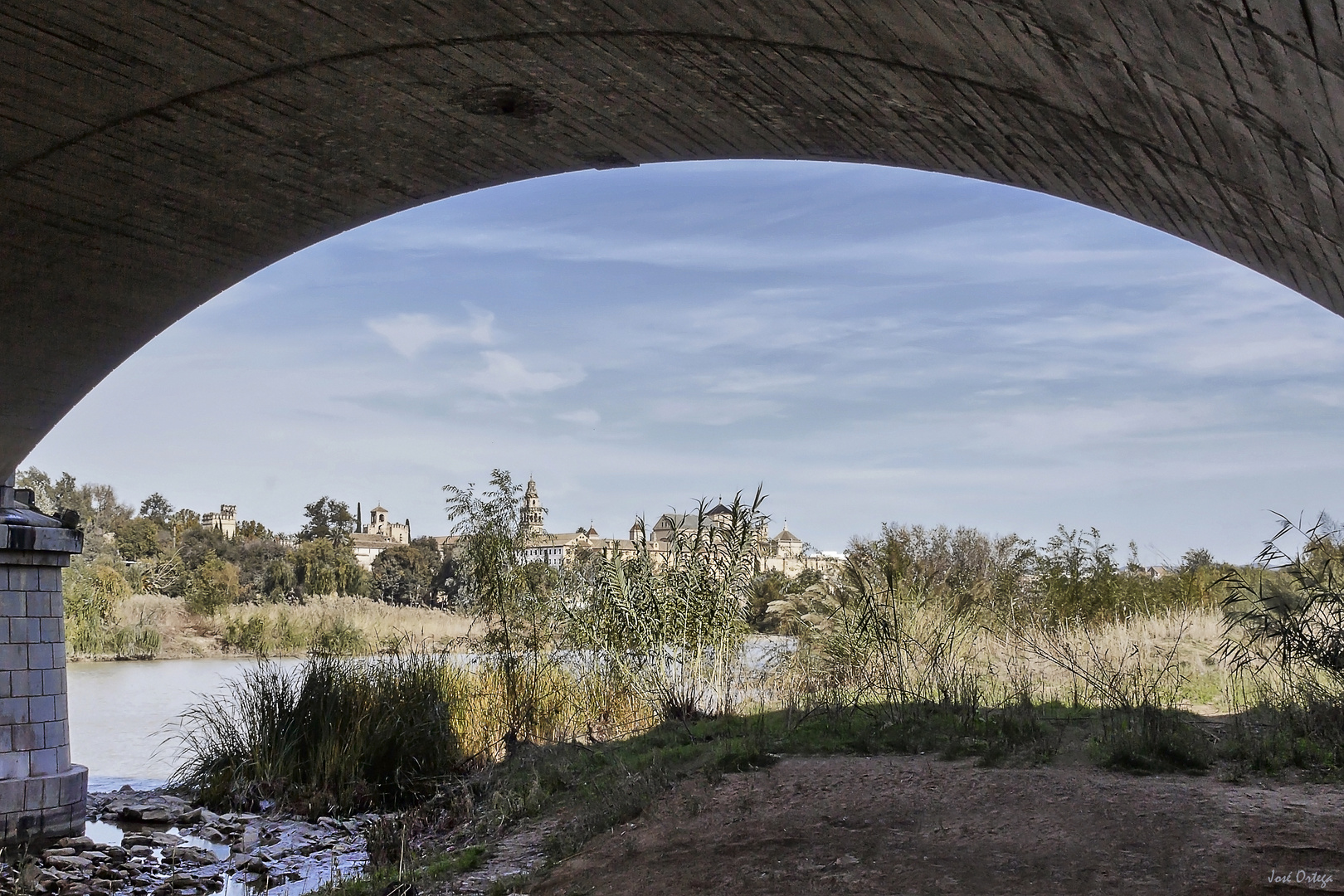 Bajo el puente