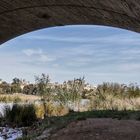 Bajo el puente