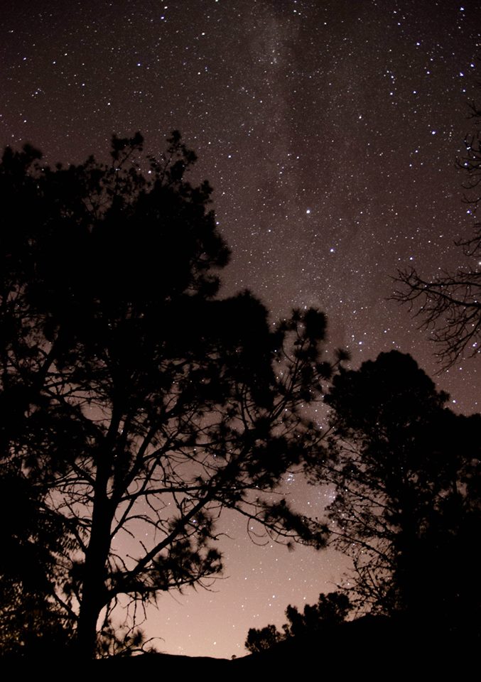 Bajo la estrellas