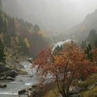 bajo la lluvia