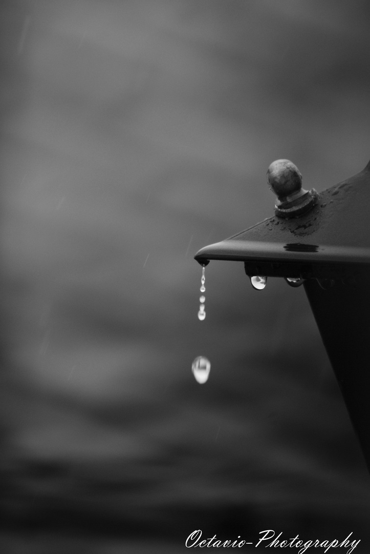 Bajo la lluvia