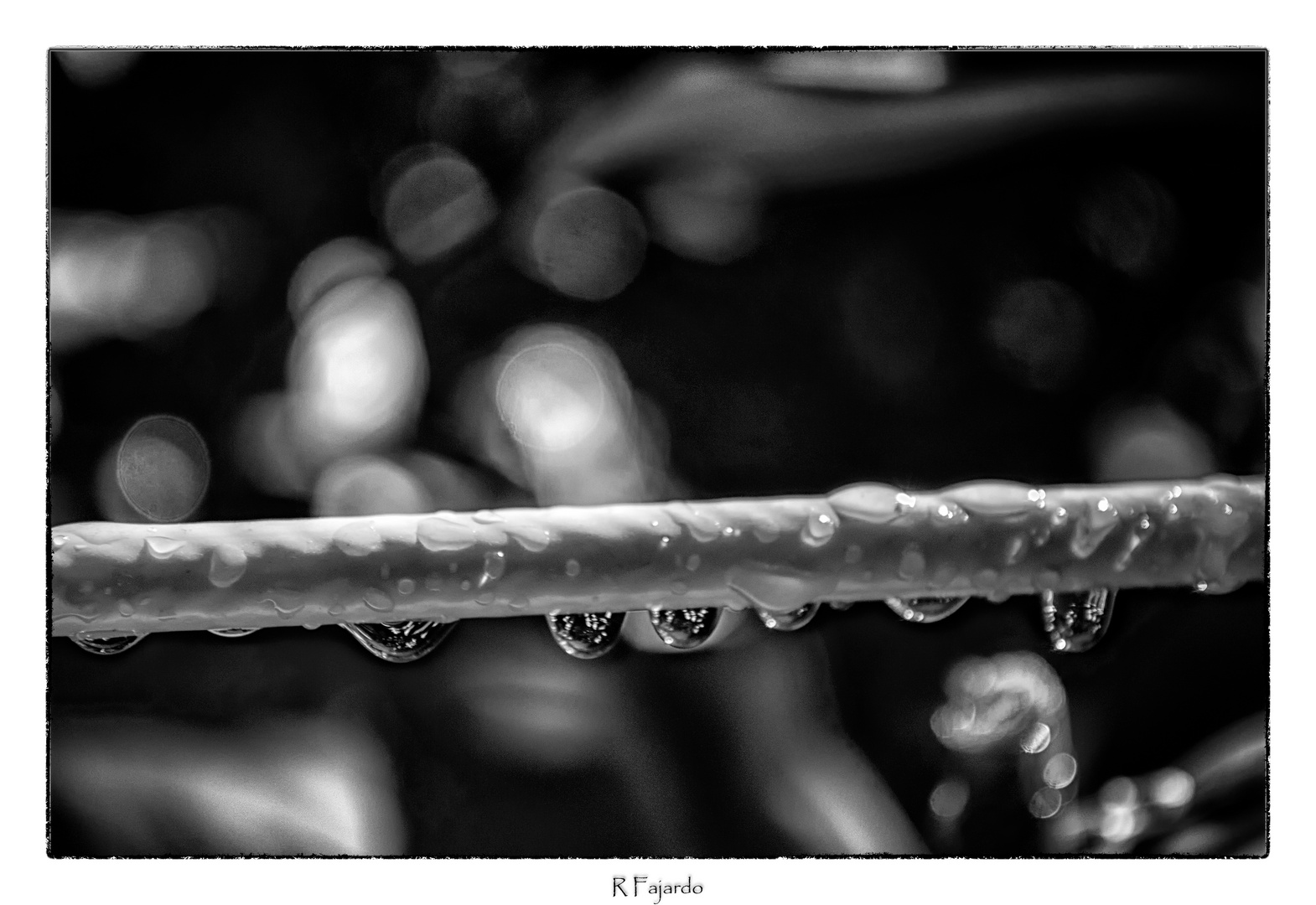 Bajo la lluvia