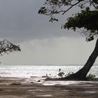 Bajo la lluvia, también se hace buenas imágenes.