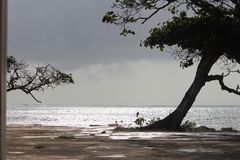 Bajo la lluvia, también se hace buenas imágenes.