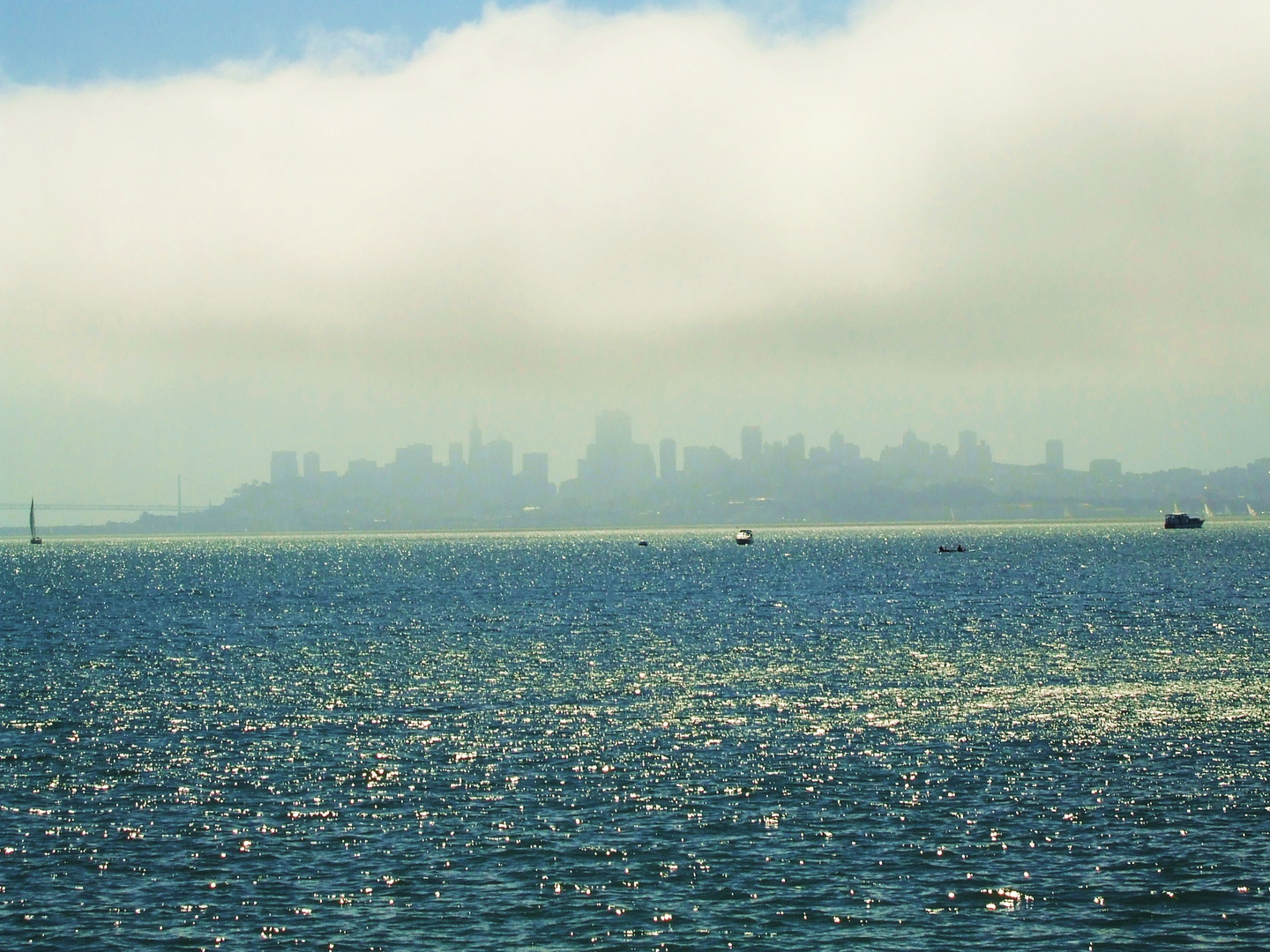 Bajo la niebla