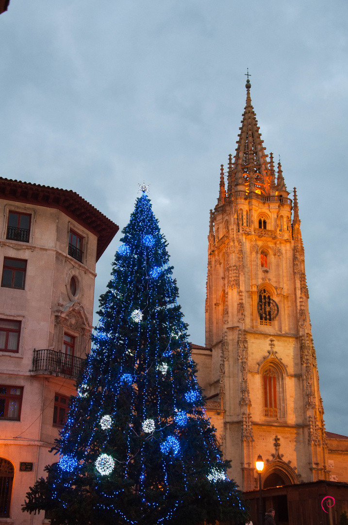 Bajo la torre de la catedral