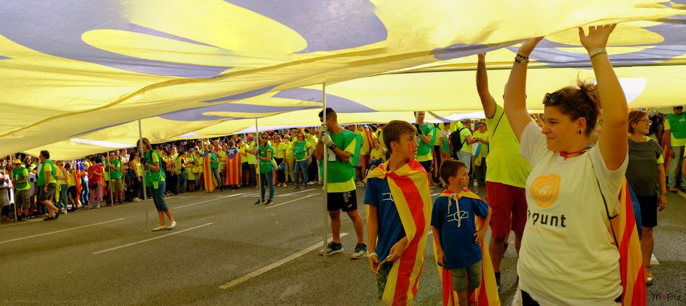 Bajo la voluntad del pueblo II ( La Diada del Si 11 09 2017 )