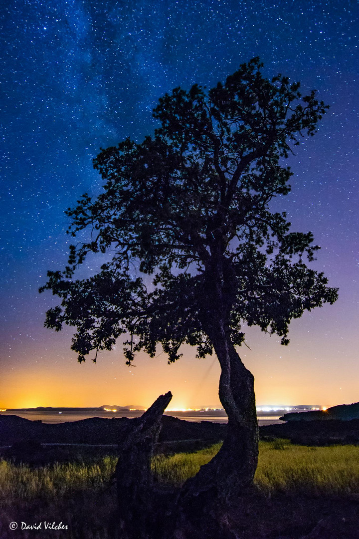 Bajo las estrellas