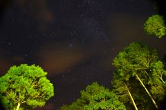 Bajo las estrellas