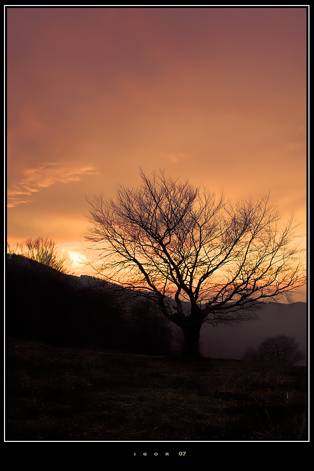 Bajo un cielo naranja