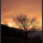 Bajo un cielo naranja