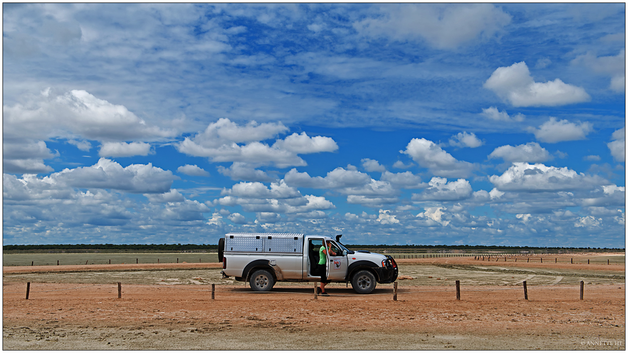 Bakkie