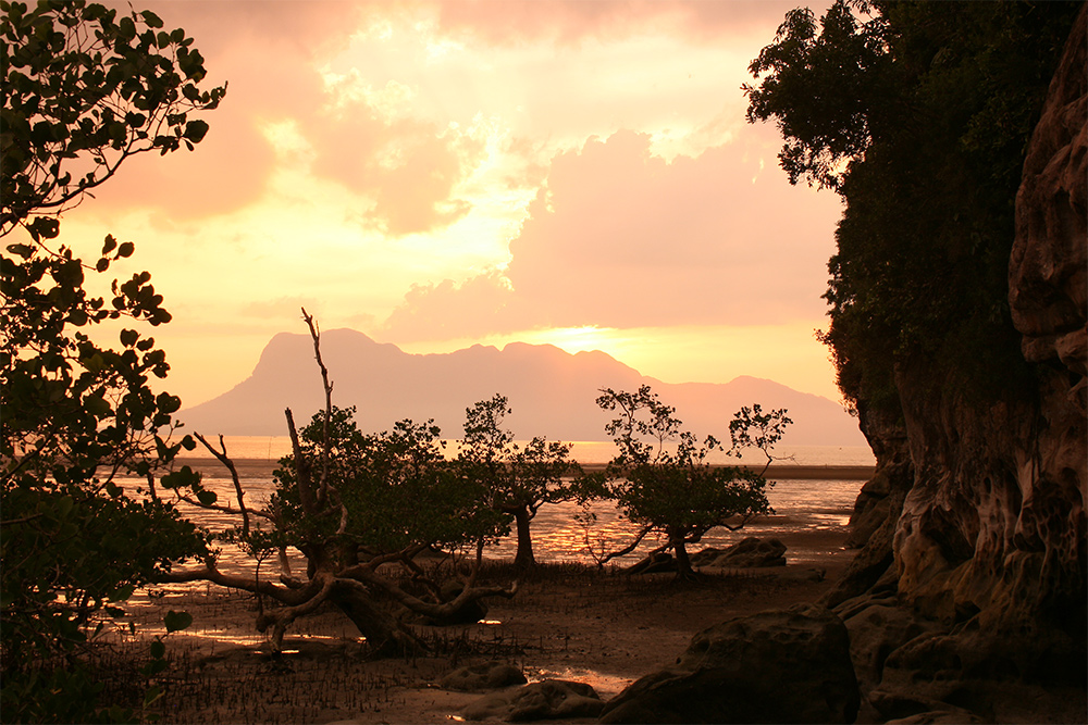 Bako NP Malaysia