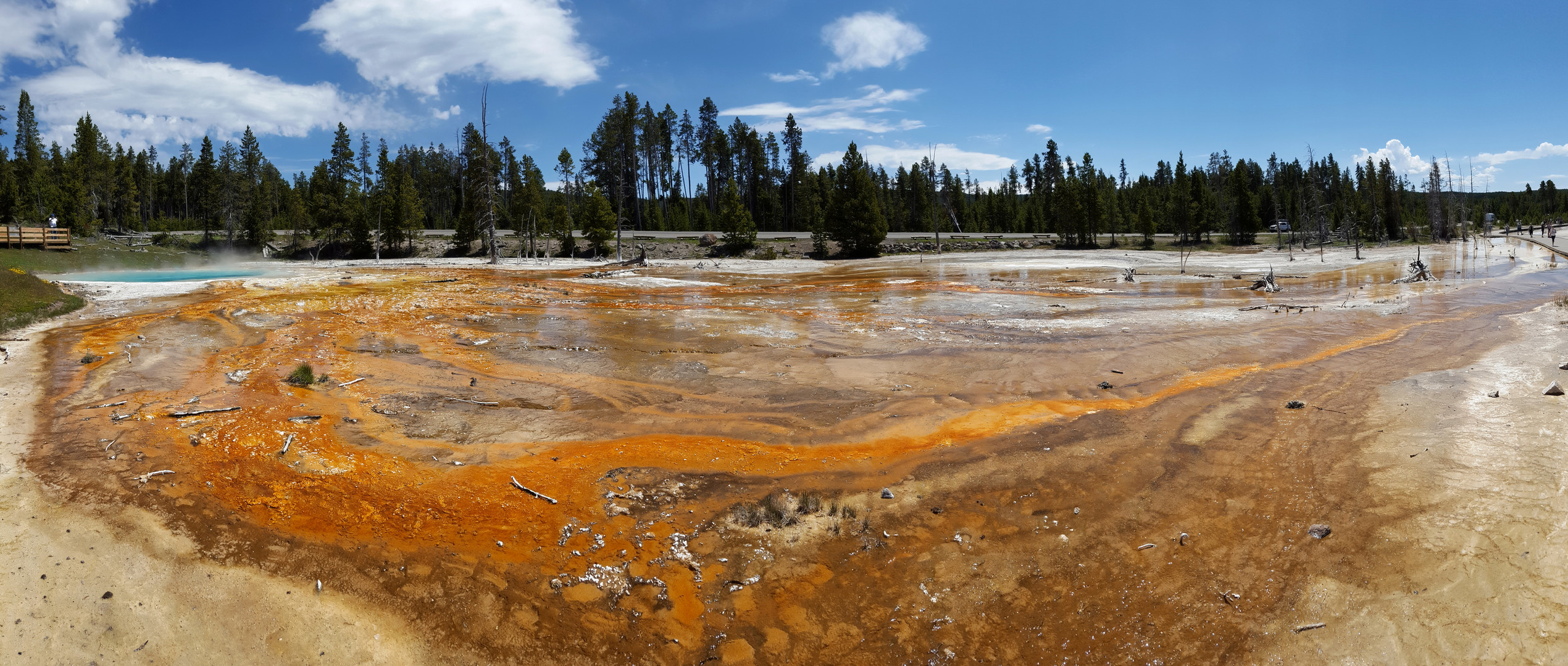 Bakterien am Silex Spring